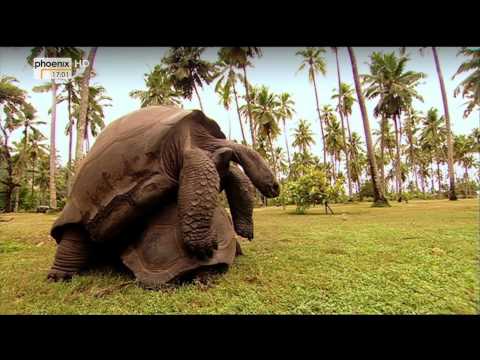 Seychellen - Traum North Island