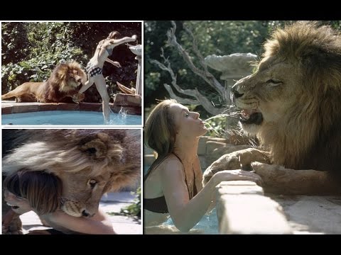 Living with Giant Lion : Young Melanie Griffith and mom Tippi Hedren with their PET LION Neil