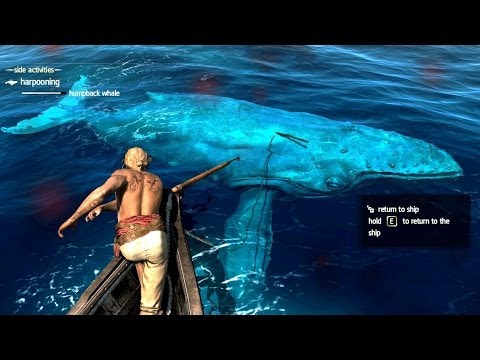 Assassin's Creed 4 All Harpooning Activities & The White Whale ( Moby Dick )