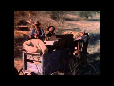 Belle Starr (1980) Full Western Movie | Elizabeth Montgomery Movies