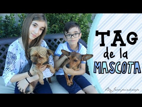 ♥ ¡TAG de la mascota! (con mi hermano)  ♥ || La semana de los TAGS