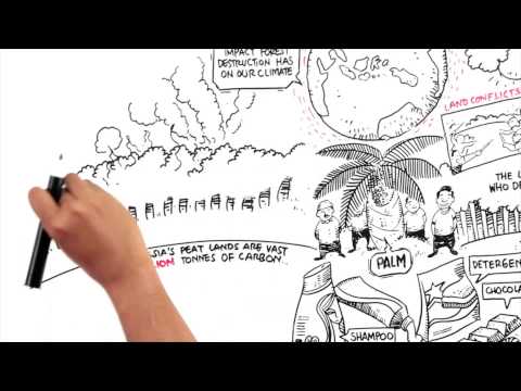 Protect Paradise: An Animation about Palm Oil