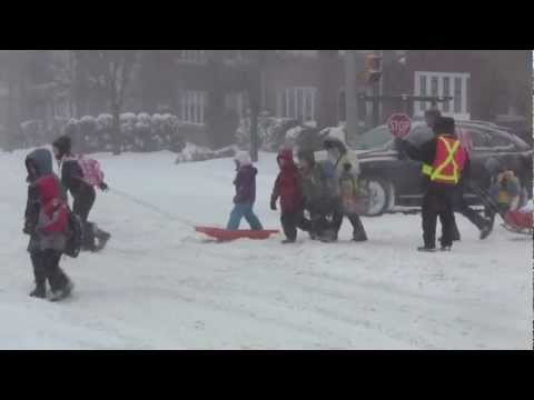 Toronto, Ontario Winter Snow Storm - Canada, eh ?