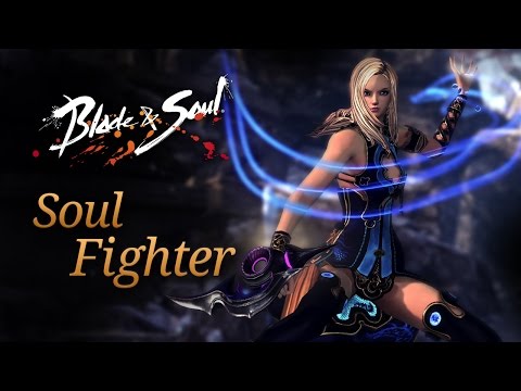 Blade & Soul: Soul Fighter Overview