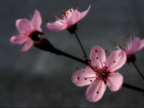 The Very Best of Enya