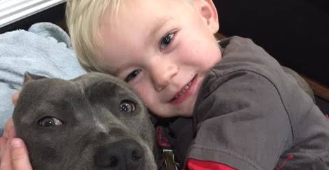 Heartbroken kids devastated over stolen Christmas puppy