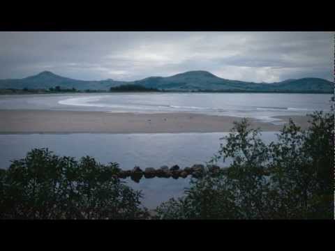 Otago Peninsula wildlife - Roadside Stories