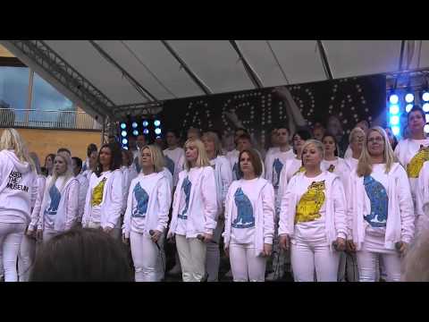 ABBA The Museum - The Choir