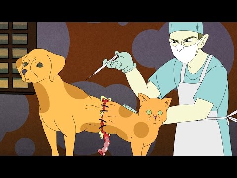 SCIENTIFICALLY ACCURATE™: CATDOG