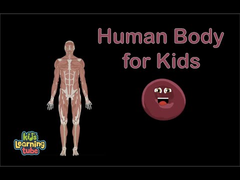 The Human Body for Kids/Learn about the Human Body for Children/46 Minute Compilation