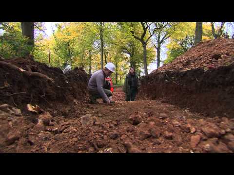 L'oppidum d'Orival : Sous les arbres, les racines de Rouen