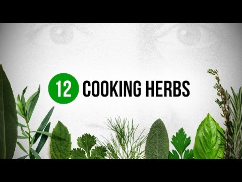 12 Cooking Herbs every Cook should know about !