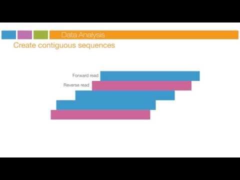 Illumina Sequencing Technology