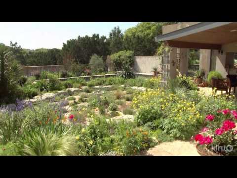 English Garden on Texas Soil | Jennifer & David Stocker | Central Texas Gardener