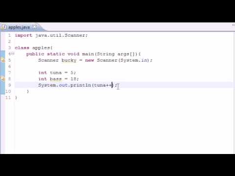 Java Programming Tutorial - 9 - Increment Operators