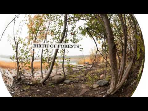 Birth of forests - Land uplift - Bothnian Bay