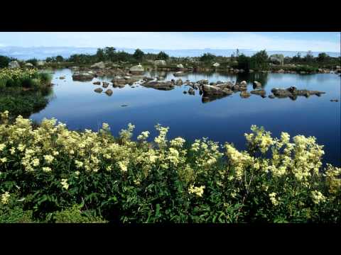 The Bothnian Bay