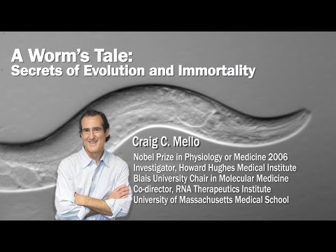 PSW 2334 A Worm's Tale: Secrets of Evolution and Immortality