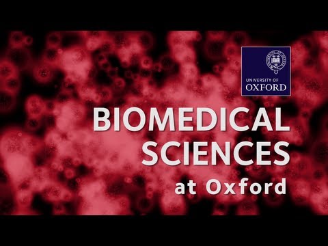 Biomedical Sciences at Oxford University