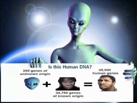 Part 1: Human DNA Mysteries - The Mechanics of Ascension