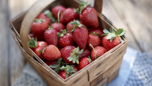 Fresh produce at Beerenberg Farm, Hahndorf.