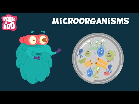 Microorganisms | The Dr. Binocs Show | Learn series for kids