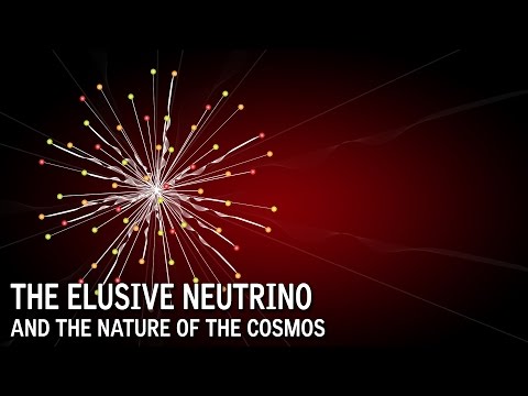 The Elusive Neutrino and The Nature Of The Cosmos