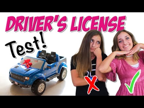 Taking the Driver's License Test | Brooklyn and Bailey