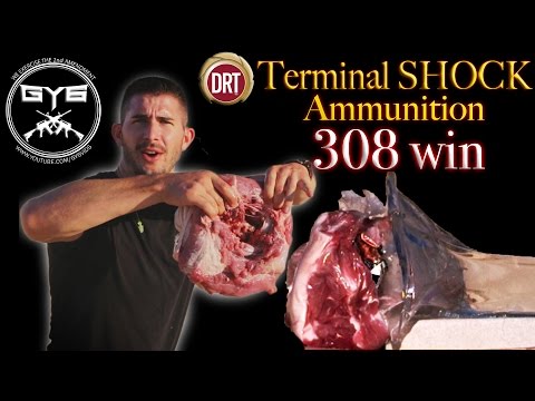 DRT 308win "TERMINAL SHOCK Ammo" |Gel/Pork Shoulder/BRICK|