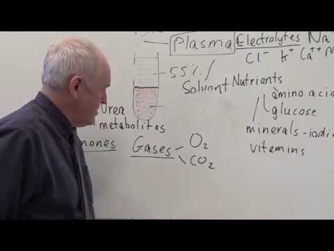 Blood 1, Plasma, constituents and functions