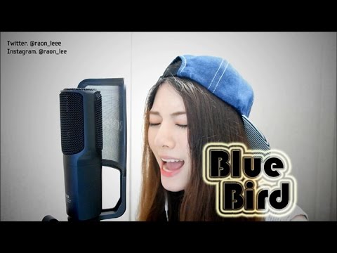 【라온】NARUTO SHIPPUDEN (ナルト疾風伝) - BLUE BIRD (Vocal Cover)