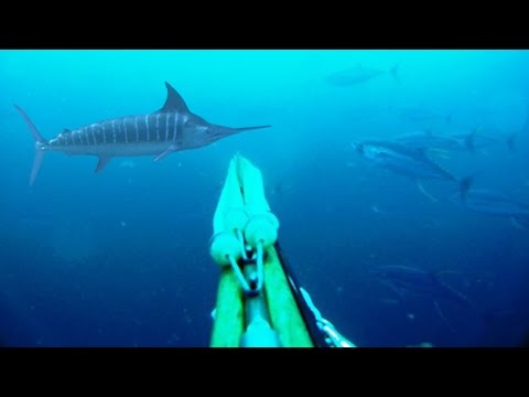 Blue Water Spearfishing Pesca Sub, com Diego Santiago