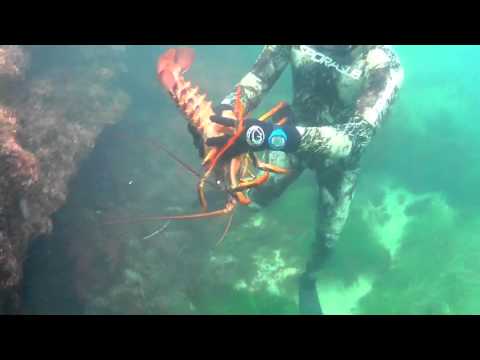 Blue Water Spearfishing in Baja.m4v