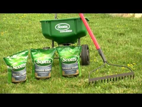 Do-it-Yourself:  Lawn Overseeding