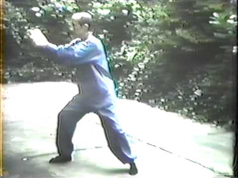 Franklin Kwong Performing the Yang Tai Chi Form