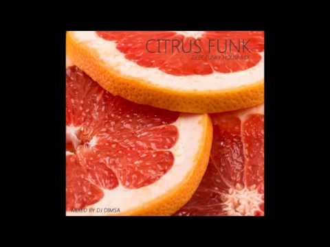 Citrus Funk - Deep Funky House Mix (2016)