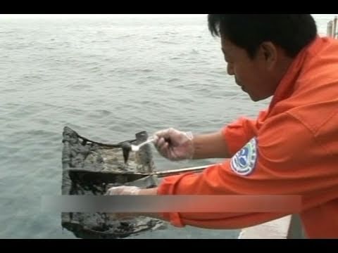 Bohai Sea Oil Leak Causes Long-Term Environmental Impact