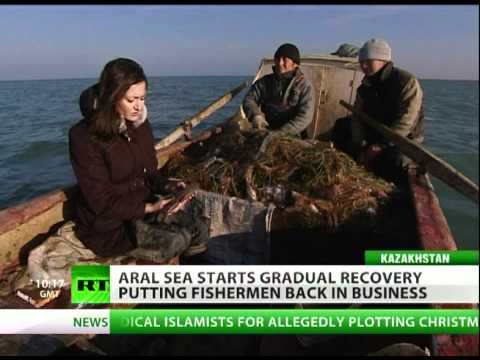 Aral Sea Part III: Return of the Fish?