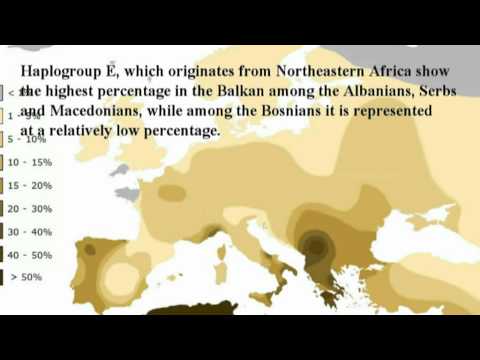 GENETICS OF BOSNIAKS