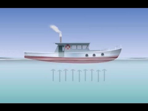 Archimedes Principle - Class 9 Tutorial - Amrita University