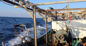 Palestinian fishing boat