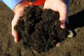 Making compost is a lot trickier than you think.