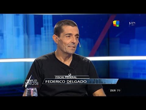 Federico Delgado (Fiscal Federal) en "Animales sueltos" de Alejandro Fantino - 19/06/16