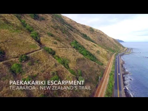 Paekakariki Escarpment Track