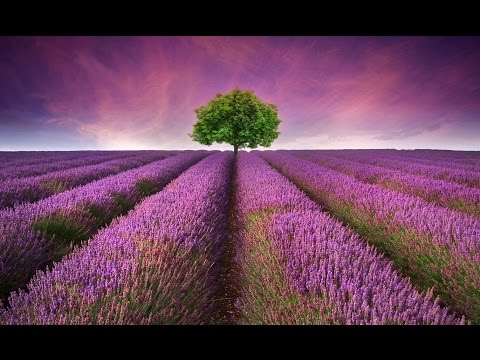 8 Hour Deep Sleeping Music: Delta Waves, Relaxing Music Sleep, Insomnia Music, Meditation, ☯672