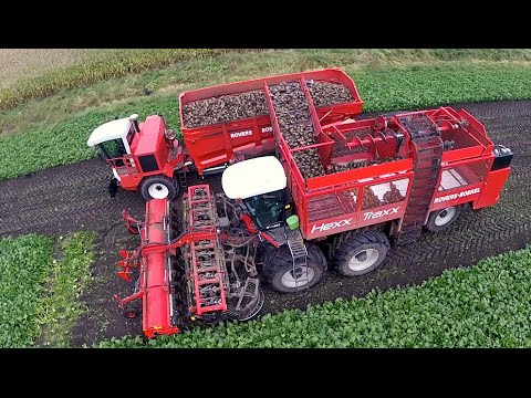 12 row Sugarbeet harvesting | Rovers Boekel l Holmer / Agrifac Hexx Traxx 12 | Gilles overlaadwagen