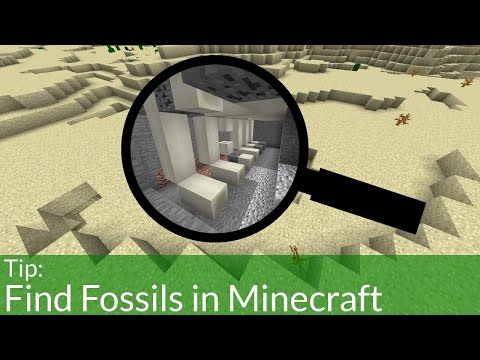 The Easiest Way to Find Fossils in Minecraft