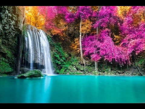 8 Hour Sleep Music, Calm Music for Sleeping, Delta Waves, Relax, Insomnia, Relaxing Music, ☯2817