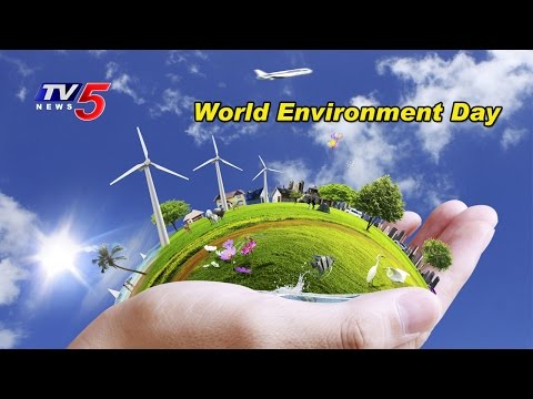 World Environment Day  | Environment Run At Necklace Road | Hyderabad | TV5 News