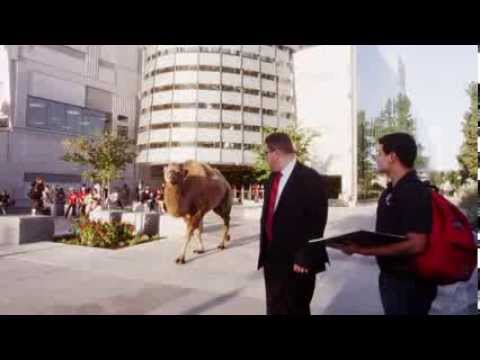 Fresno State Alumni Association Hump Day Hangouts